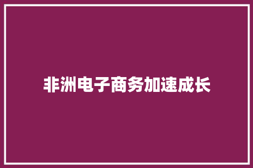 非洲电子商务加速成长