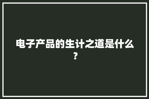 电子产品的生计之道是什么？