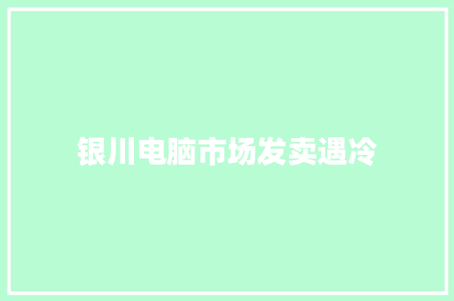银川电脑市场发卖遇冷 银川电脑市场发卖遇冷 智能家居