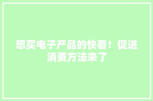 想买电子产品的快看！促进消费方法来了