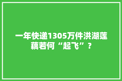 一年快递1305万件洪湖莲藕若何“起飞”？