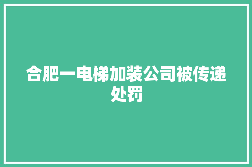 合肥一电梯加装公司被传递处罚
