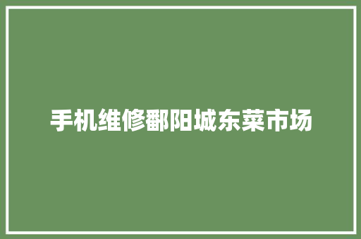 手机维修鄱阳城东菜市场
