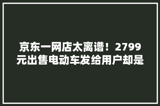 京东一网店太离谱！2799元出售电动车发给用户却是大年夜白鹅玩偶迅速闭店玩消失