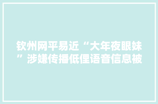 钦州网平易近“大年夜眼妹”涉嫌传播低俚语音信息被警方教诲训诫 互联通信