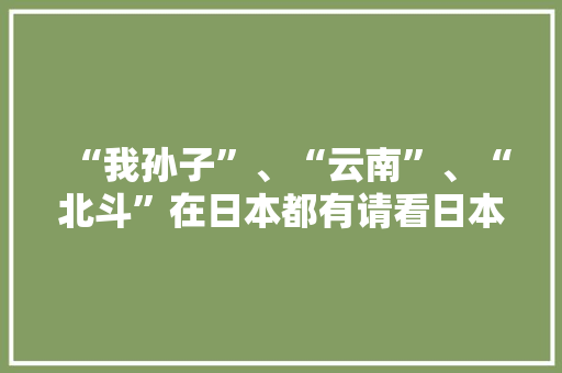“我孙子”、“云南”、“北斗”在日本都有请看日本的奇葩地名