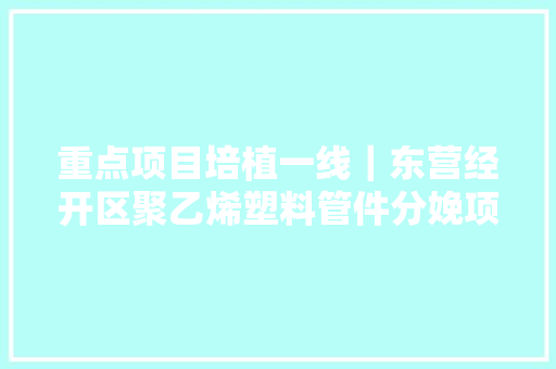 重点项目培植一线｜东营经开区聚乙烯塑料管件分娩项目摁下“加速键”