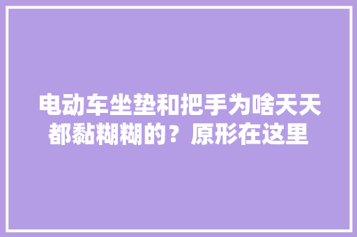 电动车坐垫和把手为啥天天都黏糊糊的？原形在这里