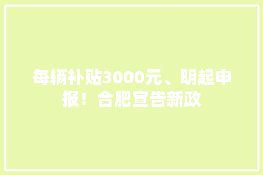 每辆补贴3000元、明起申报！合肥宣告新政