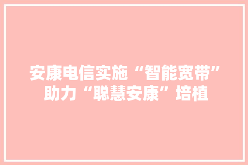 安康电信实施“智能宽带” 助力“聪慧安康”培植
