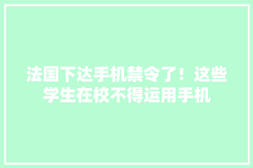 法国下达手机禁令了！这些学生在校不得运用手机 法国下达手机禁令了！这些学生在校不得运用手机 人工智能