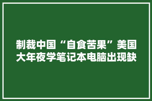 制裁中国“自食苦果”美国大年夜学笔记本电脑出现缺少