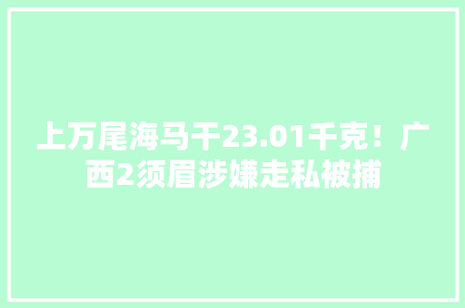 上万尾海马干23.01千克！广西2须眉涉嫌走私被捕 上万尾海马干23.01千克！广西2须眉涉嫌走私被捕 智能科技