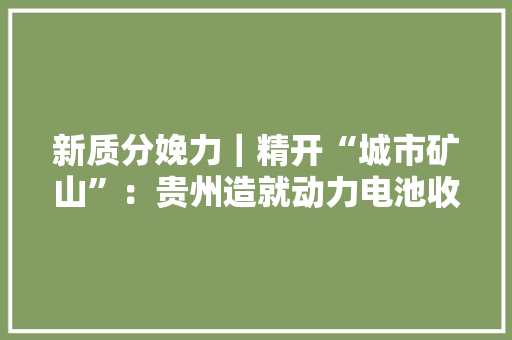新质分娩力｜精开“城市矿山”：贵州造就动力电池收受接收运用新业态 新质分娩力｜精开“城市矿山”：贵州造就动力电池收受接收运用新业态 互联通信