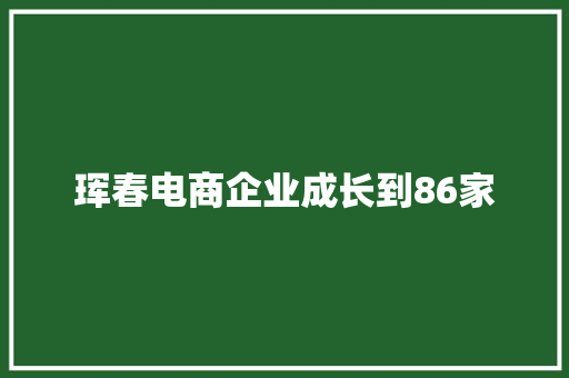 珲春电商企业成长到86家