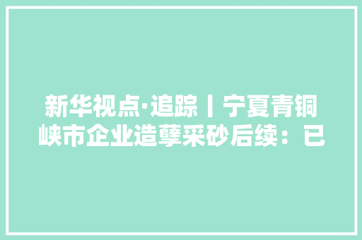 新华视点·追踪丨宁夏青铜峡市企业造孽采砂后续：已刑事立案 正推进修复治理