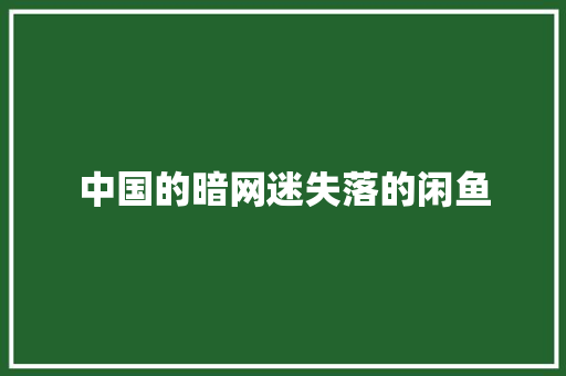 中国的暗网迷失落的闲鱼