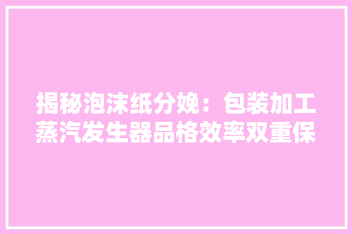 揭秘泡沫纸分娩：包装加工蒸汽发生器品格效率双重保障 揭秘泡沫纸分娩：包装加工蒸汽发生器品格效率双重保障 智能家居