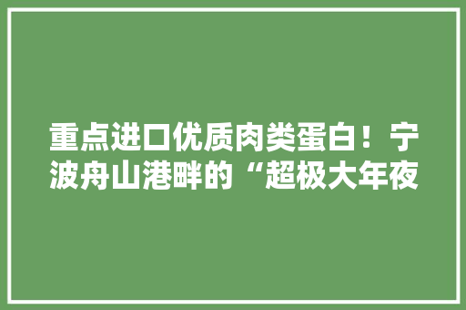 重点进口优质肉类蛋白！宁波舟山港畔的“超极大年夜冷柜”启动试运营