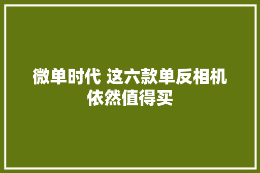 微单时代 这六款单反相机依然值得买