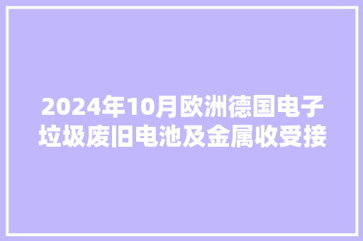 2024年10月欧洲德国电子垃圾废旧电池及金属收受接收轮回再运用展