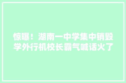 惊曝！湖南一中学集中销毁学外行机校长霸气喊话火了！ 惊曝！湖南一中学集中销毁学外行机校长霸气喊话火了！ 人工智能