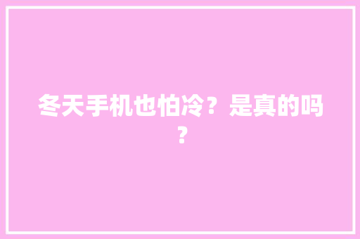 冬天手机也怕冷？是真的吗？ 冬天手机也怕冷？是真的吗？ 智能家居