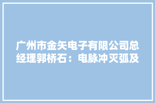 广州市金矢电子有限公司总经理郭桥石：电脉冲灭弧及组网灭弧技能