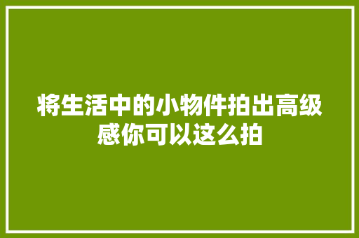 将生活中的小物件拍出高级感你可以这么拍