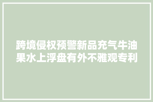跨境侵权预警新品充气牛油果水上浮盘有外不雅观专利快快避坑吧