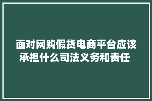 面对网购假货电商平台应该承担什么司法义务和责任 || 大年夜数据打假2.0申报