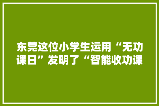 东莞这位小学生运用“无功课日”发明了“智能收功课机械”