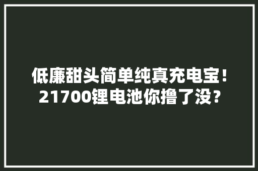 低廉甜头简单纯真充电宝！21700锂电池你撸了没？ 低廉甜头简单纯真充电宝！21700锂电池你撸了没？ 智能科技