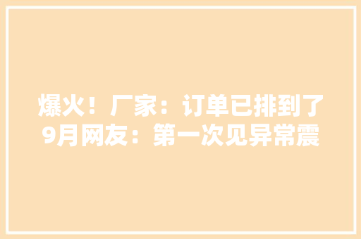 爆火！厂家：订单已排到了9月网友：第一次见异常震撼
