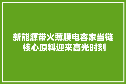 新能源带火薄膜电容家当链 核心原料迎来高光时刻