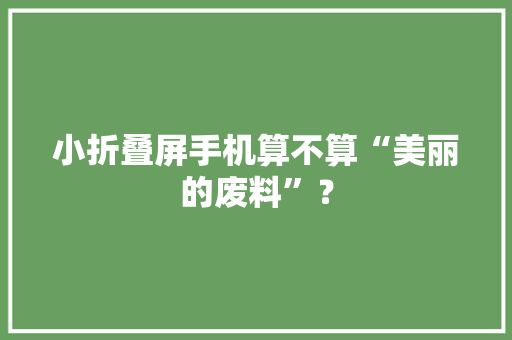 小折叠屏手机算不算“美丽的废料”？