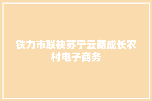 铁力市联袂苏宁云商成长农村电子商务