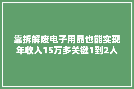 靠拆解废电子用品也能实现年收入15万多关键1到2人就能去经营
