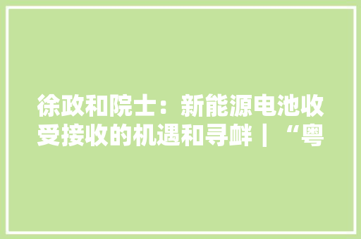 徐政和院士：新能源电池收受接收的机遇和寻衅｜“粤港澳大年夜湾区人才港大年夜教室”