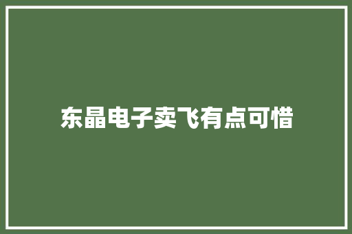 东晶电子卖飞有点可惜 东晶电子卖飞有点可惜 互联通信