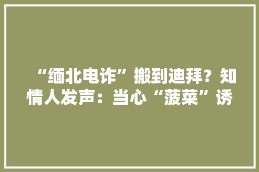 “缅北电诈”搬到迪拜？知情人发声：当心“菠菜”诱惑