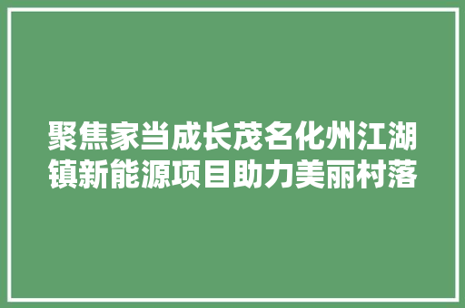 聚焦家当成长茂名化州江湖镇新能源项目助力美丽村落培植