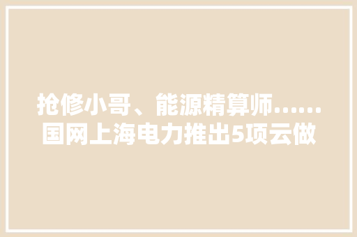 抢修小哥、能源精算师……国网上海电力推出5项云做事产品