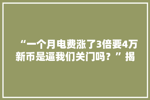 “一个月电费涨了3倍要4万新币是逼我们关门吗？”揭秘新加坡电力市场