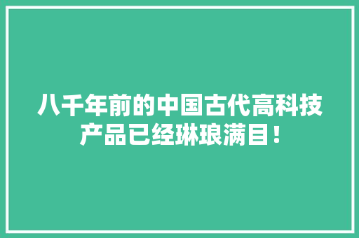 八千年前的中国古代高科技产品已经琳琅满目！