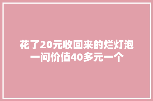 花了20元收回来的烂灯泡一问价值40多元一个