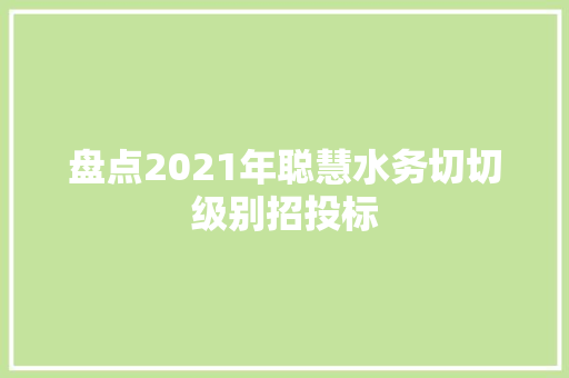 盘点2021年聪慧水务切切级别招投标