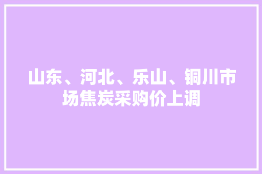 山东、河北、乐山、铜川市场焦炭采购价上调