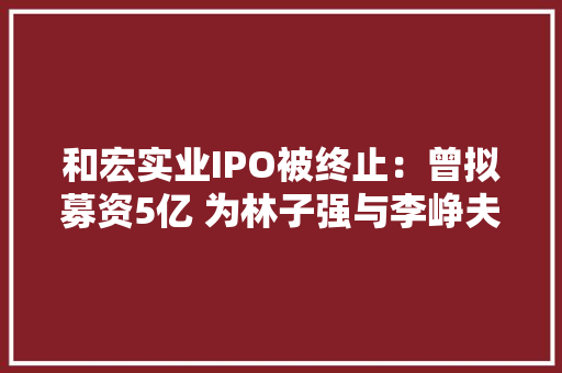 和宏实业IPO被终止：曾拟募资5亿 为林子强与李峥夫妻店
