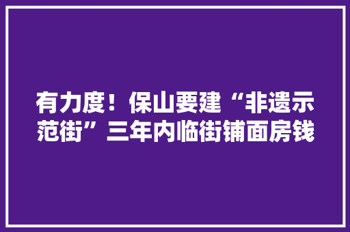 有力度！保山要建“非遗示范街”三年内临街铺面房钱全免
